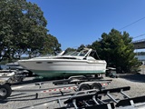29'6", Sea Ray 300 Weekender