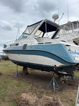 30', Cruisers Esprit