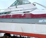 26', Cruisers 260 Holiday