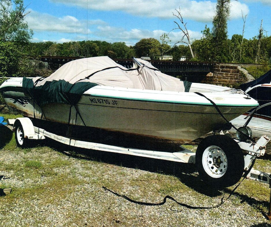 19', Sea Ray 195