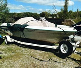 19', Sea Ray 195