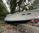 39', Sea Ray