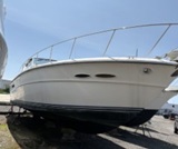 39', Sea Ray 390 EX