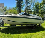 19'6", Wellcraft 196 SU