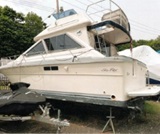 31'6", Sea Ray 305 SD