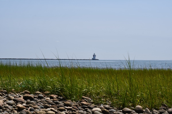 Rocky Shore Front with Lighthouse