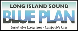 Blue Plan logo