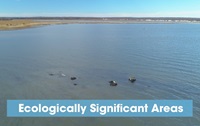 Link to Ecologically Significant Areas video