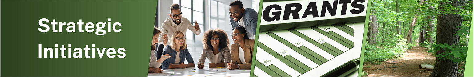 Strategic Initiatives Header