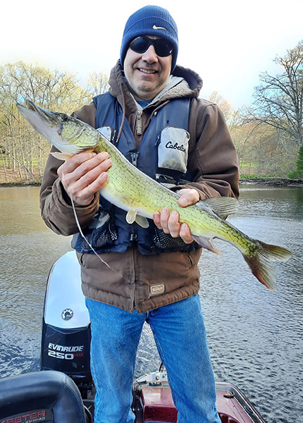 CT Chain Pickerel