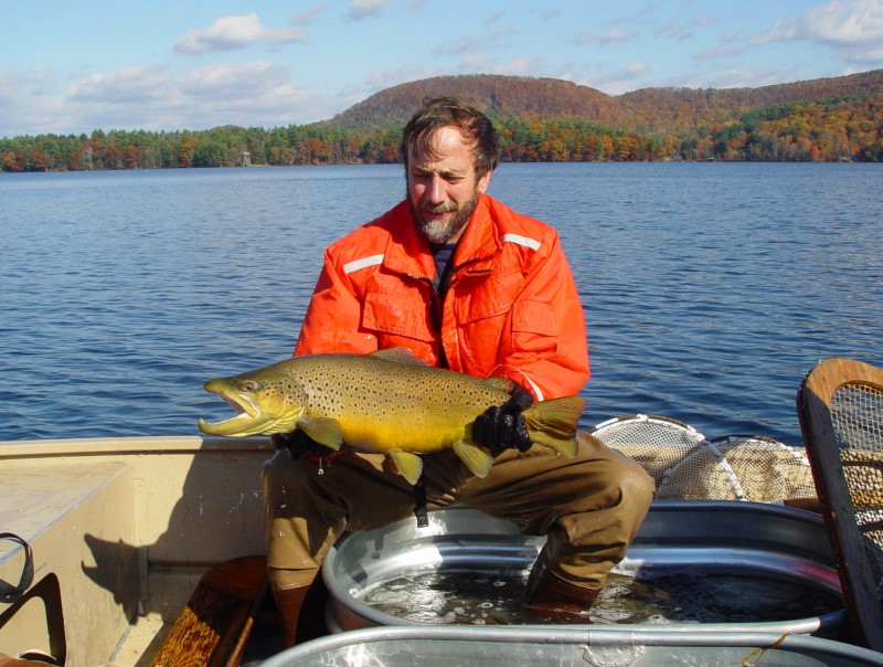 brown trout at east twin lake