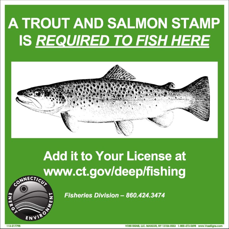 Trout and Salmon Stamp