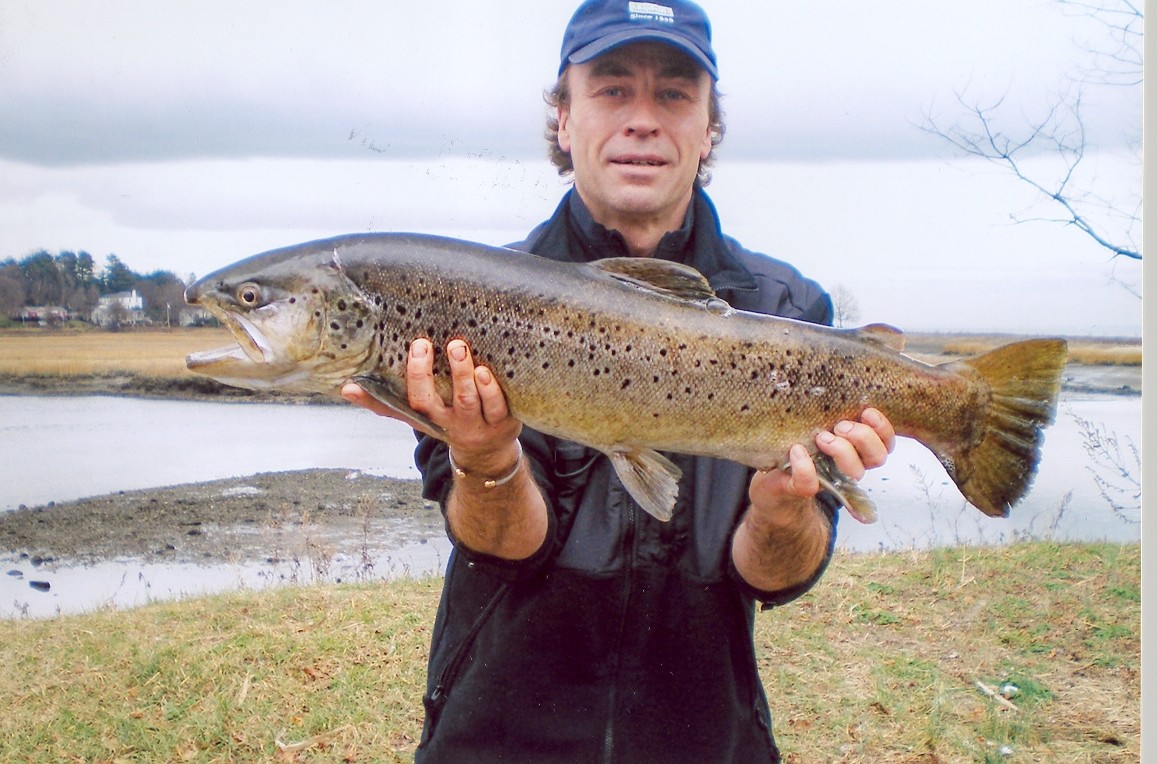 sea run trout