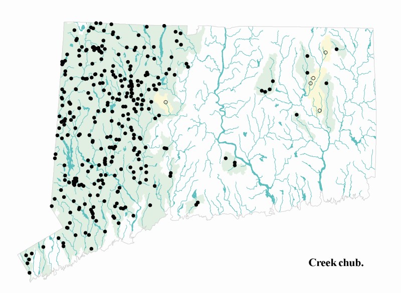Creek chub distribution map.