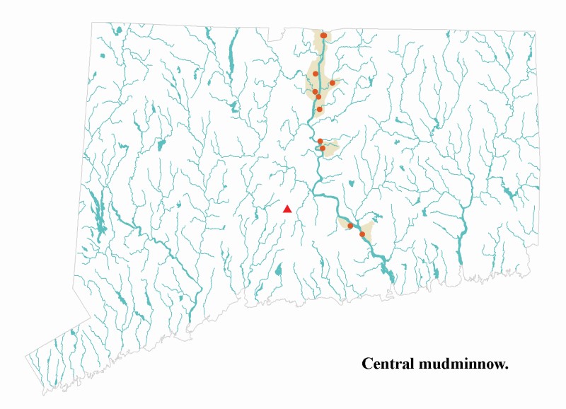 Central Mudminnow distribution map.