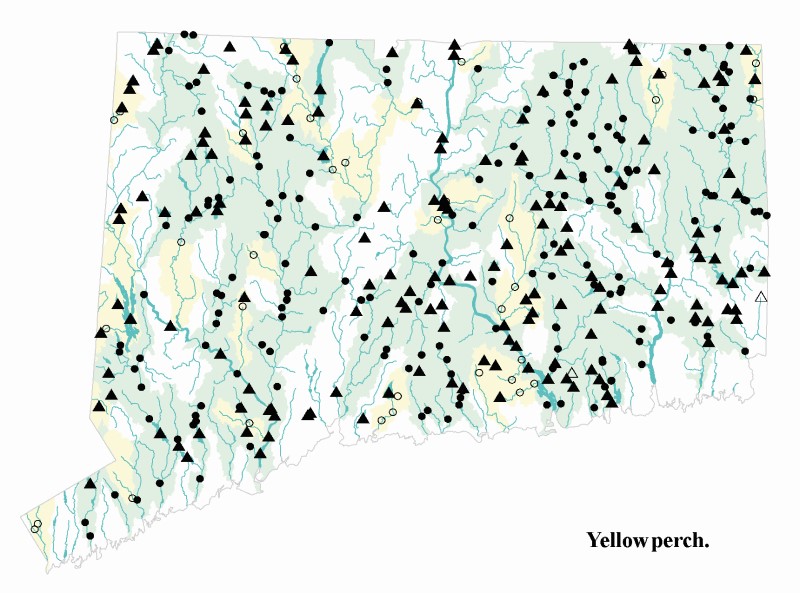 Yellow perch distribution map.