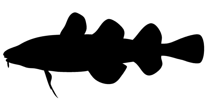 Codfish silhouette.