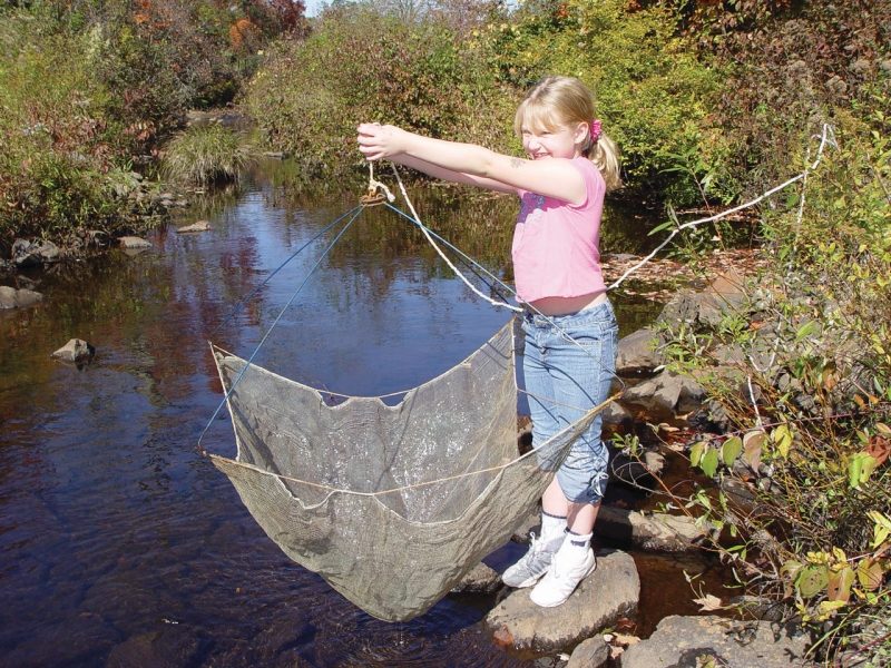 A typical umbrella net. 