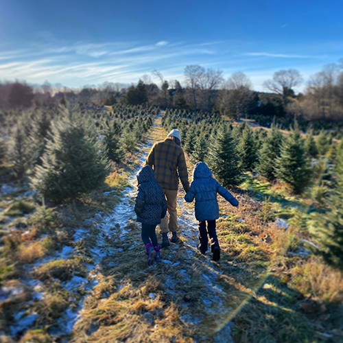 A family walking through a Christmas tree farm in CT