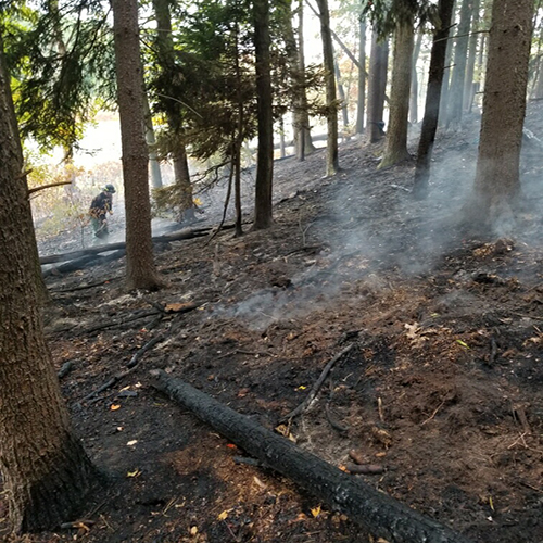 Firefighters attempting to extinguish a forest fire.