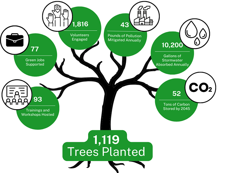 A graphic that shows as planted trees grow and reach greater size, pollution mitigation and storm water absorption are expected to increase each year.