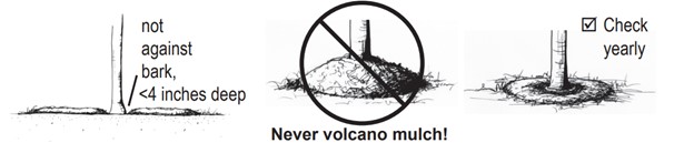 never volcano mulch