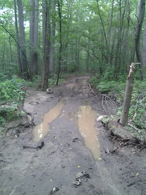 Damage to a hiking trail caused by an illegal all terrain vehicle.