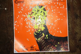 A turkey target showing the patterning of a shotgun.