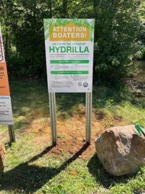 Informational sign on hydrilla by CT DEEP.