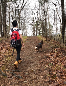 Hiker walking with a dog on a leash.