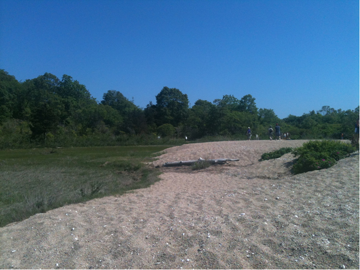 Visitors enjoy the dunes, salt marsh, and coastal forests of Bluff Point State Park in Groton.  