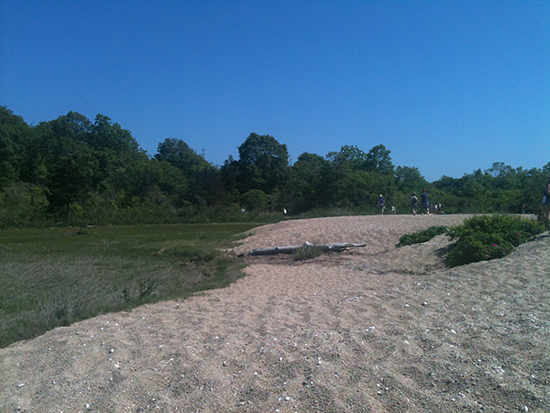 Bluff Point Dunes