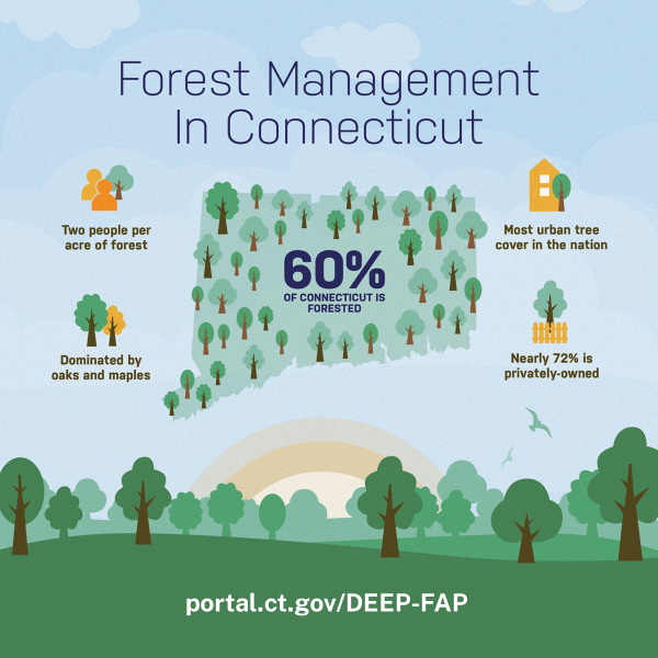 Forest management Infographic