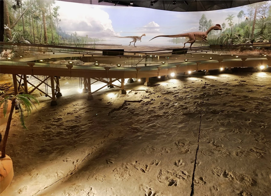 Dino tracks and walkway