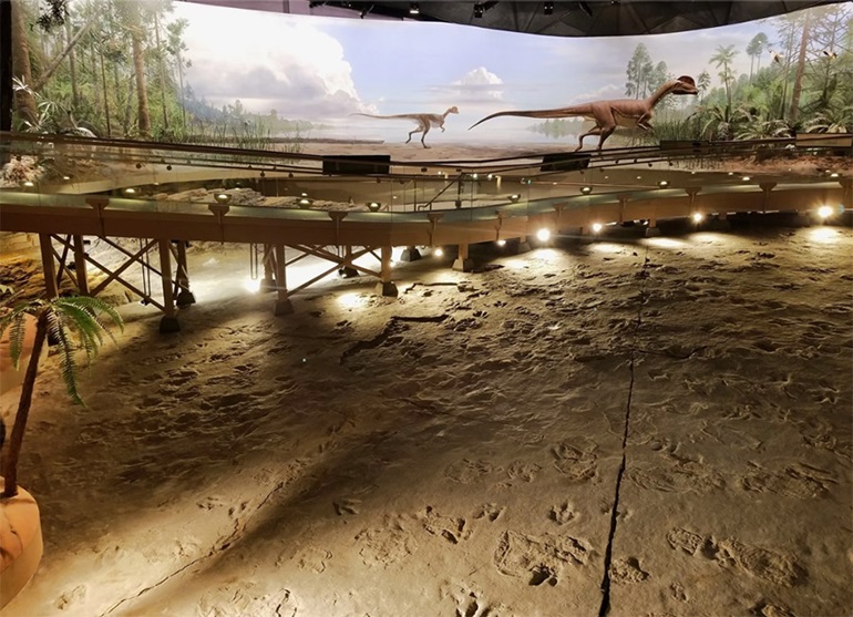 Dino tracks and walkway