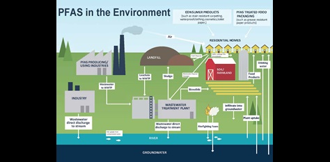 A graphic image depicting how PFAS moves in the environment.  PFAS can enter soil and water as a result of industrial discharges,  landfill leachate, wastewater discharge, biosolids applications to fields, and leaking septic systems.  PFAS enters the air when solid waste as a result of emissions associated with industrial activities and solid waste incineration.  We become exposed to PFAS by consuming contaminated drinking water and food, including fish caught from contaminated streams, by using products such as clothing or cosmetics that may contain PFAS, and through exposure to treated textiles such as those that have been made stain resistant.  