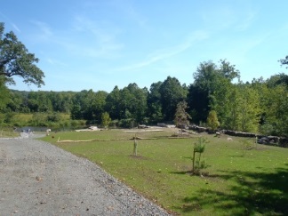 Higganum Cove site