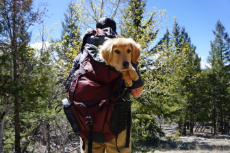 Man hiking with dog in backpack