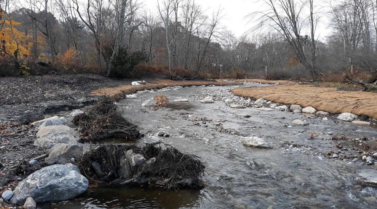 A restored reach of Steele Brook in Watertown following the removal of Heminway Dam