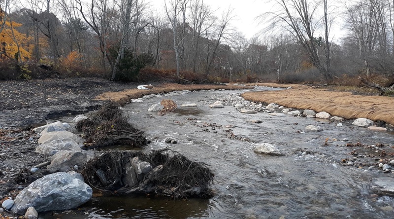 A restored reach of Steele Brook in Watertown following the removal of Heminway Dam