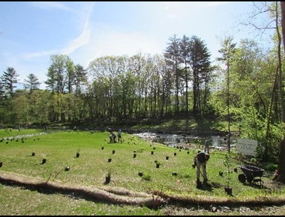 A reach of the restored Norwalk River, after removal of Strong Pond Dam. Photo credit: Braden Lynn