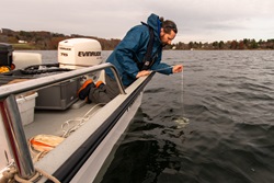 An individual lowers a secchi disk from the side of a boat to measure lake water clarity.