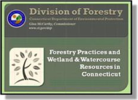 Training Segment 1. Forestry Practices and Wetland & Watercourses Resources in Connecticut