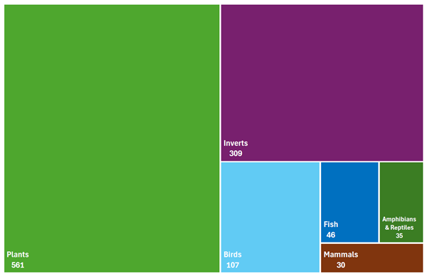 2025 Wildlife Action Plan Figure 1.1 - Numbers of SGCN and SAPS in each species group