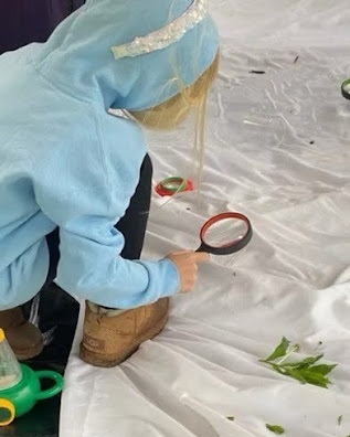 Girl examining invertebrates with a magnifying glass