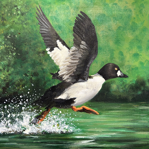 2027 CT Duck Stamp Artwork