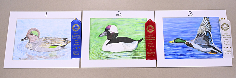 Group 1 Artwork Entries