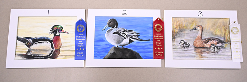 Group 2 Artwork Entries