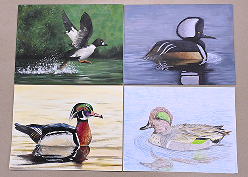 Top 2026 Duck Stamp Entries