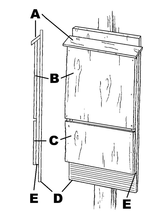 Illustration of the pieces used to construct a small bat house.